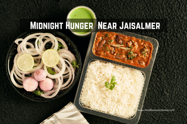  Midnight meal near Jaisalmer with rice, curry, onion salad, and green chutney at a roadside dhaba
